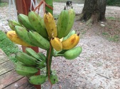 Enlarge photo 3