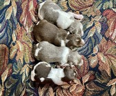 Enlarge photo 9