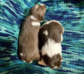 Enlarge photo 7