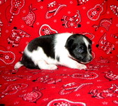 Enlarge photo 19