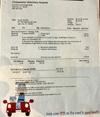 Enlarge photo 56