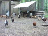 Enlarge photo 12