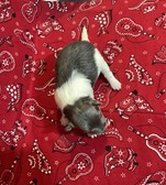 Enlarge photo 5