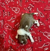 Enlarge photo 14