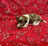 Enlarge photo 13