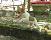 Enlarge photo 6