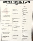 Enlarge photo 38