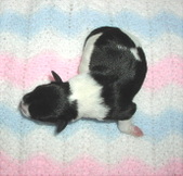 Enlarge photo 10
