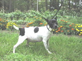 Enlarge photo 22