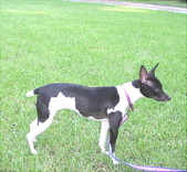 Enlarge photo 12