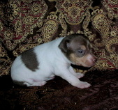 Enlarge photo 43