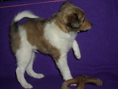 Enlarge photo 28
