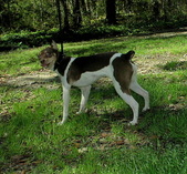 Enlarge photo 32