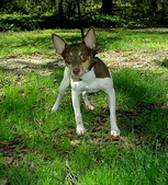 Enlarge photo 33