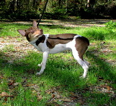 Enlarge photo 34