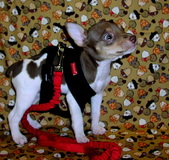 Enlarge photo 22