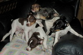 Enlarge photo 27