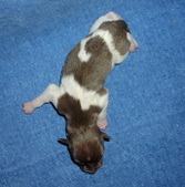 Enlarge photo 2