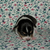 Enlarge photo 5