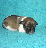 Enlarge photo 4