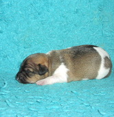 Enlarge photo 6