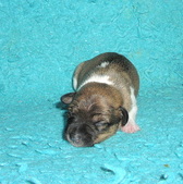 Enlarge photo 5