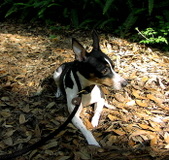 Enlarge photo 20