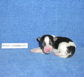 Enlarge photo 15