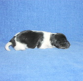 Enlarge photo 24