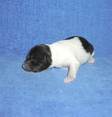 Enlarge photo 26