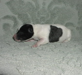 Enlarge photo 3