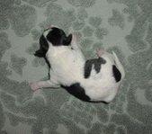 Enlarge photo 2