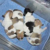 Enlarge photo 2