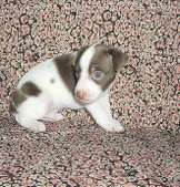 Enlarge photo 13