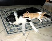 Enlarge photo 4