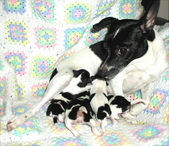 Enlarge photo 15