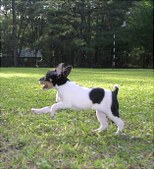 Enlarge photo 13