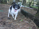 Enlarge photo 43