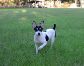 Enlarge photo 41