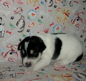 Enlarge photo 9