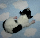 Enlarge photo 2