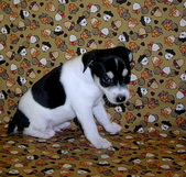 Enlarge photo 16