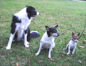 Enlarge photo 6