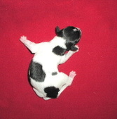 Enlarge photo 5