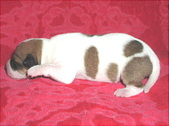 Enlarge photo 5