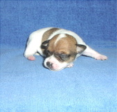 Enlarge photo 6