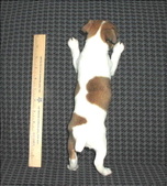 Enlarge photo 11
