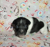 Enlarge photo 9