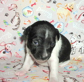 Enlarge photo 8