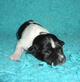 Enlarge photo 5